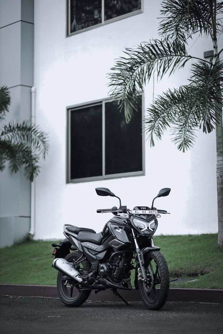 736x1104 TVS Raider 125