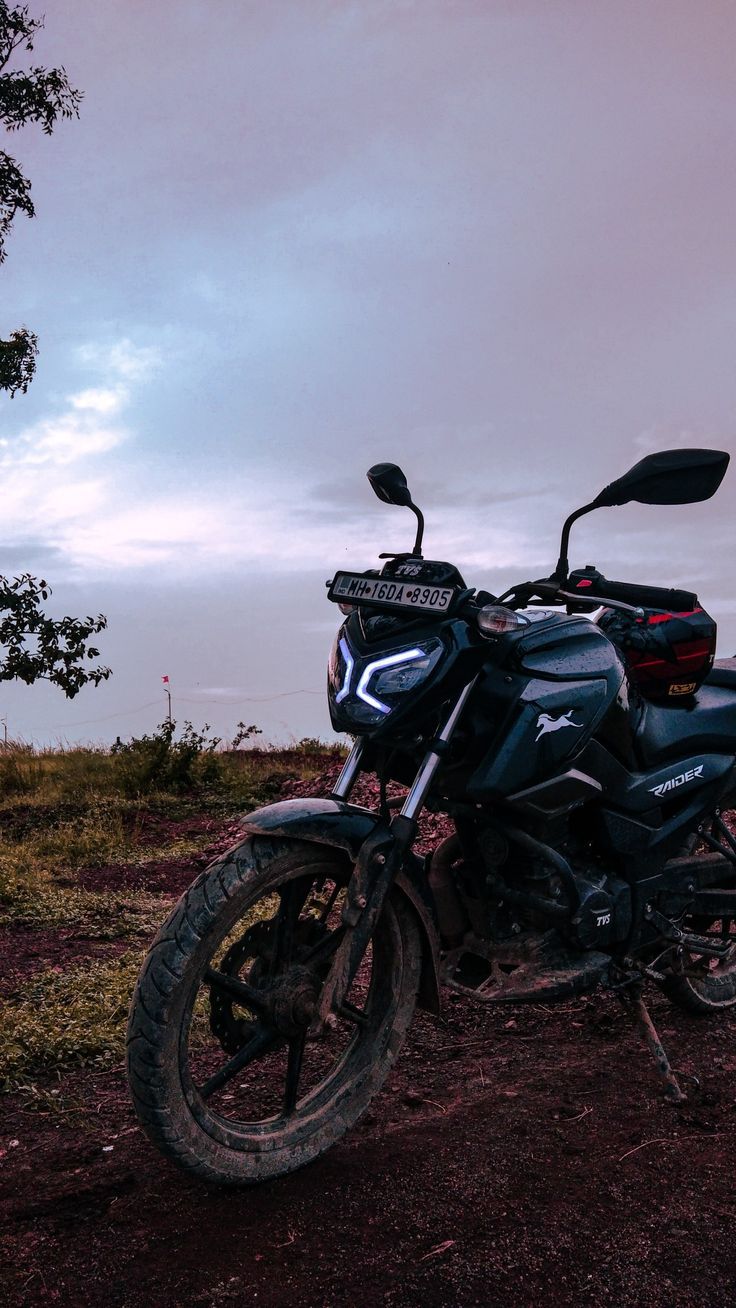 736x1308 Motorbike love