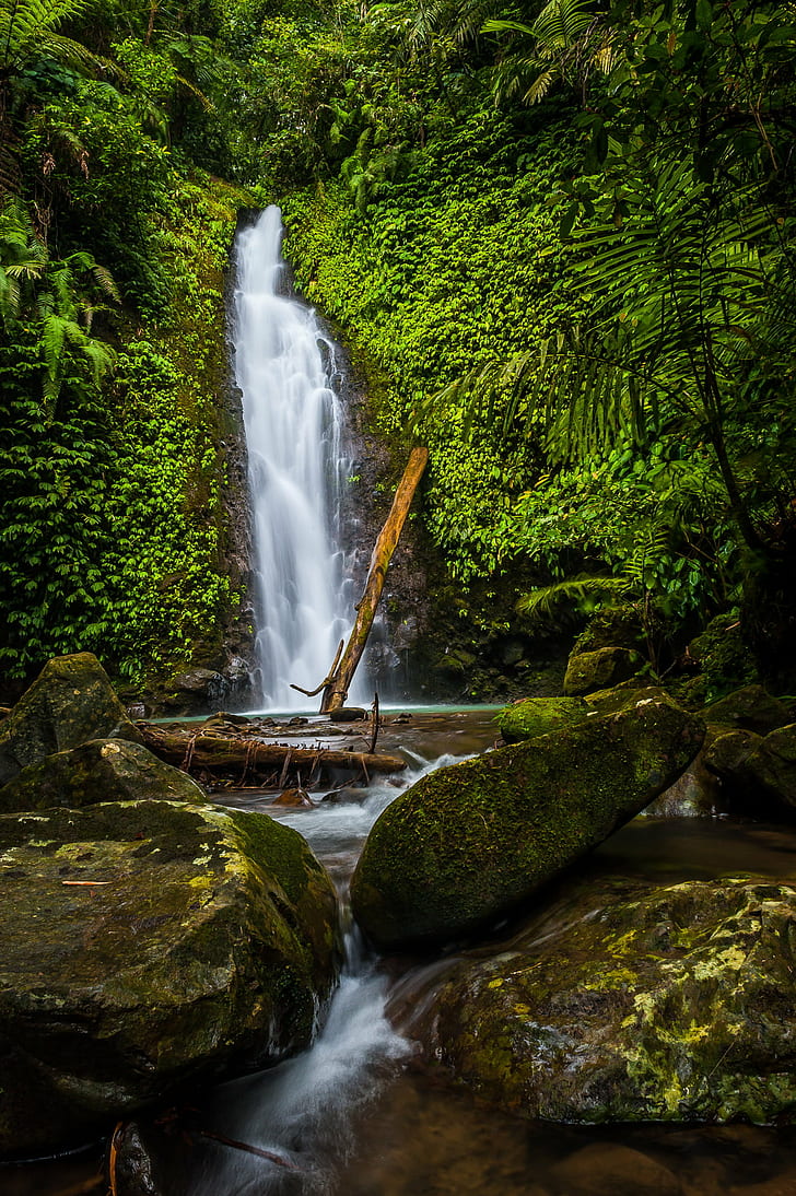 728x1094 Bukidnon 1080P, 2K, 4K, 5K HD wallpaper free download