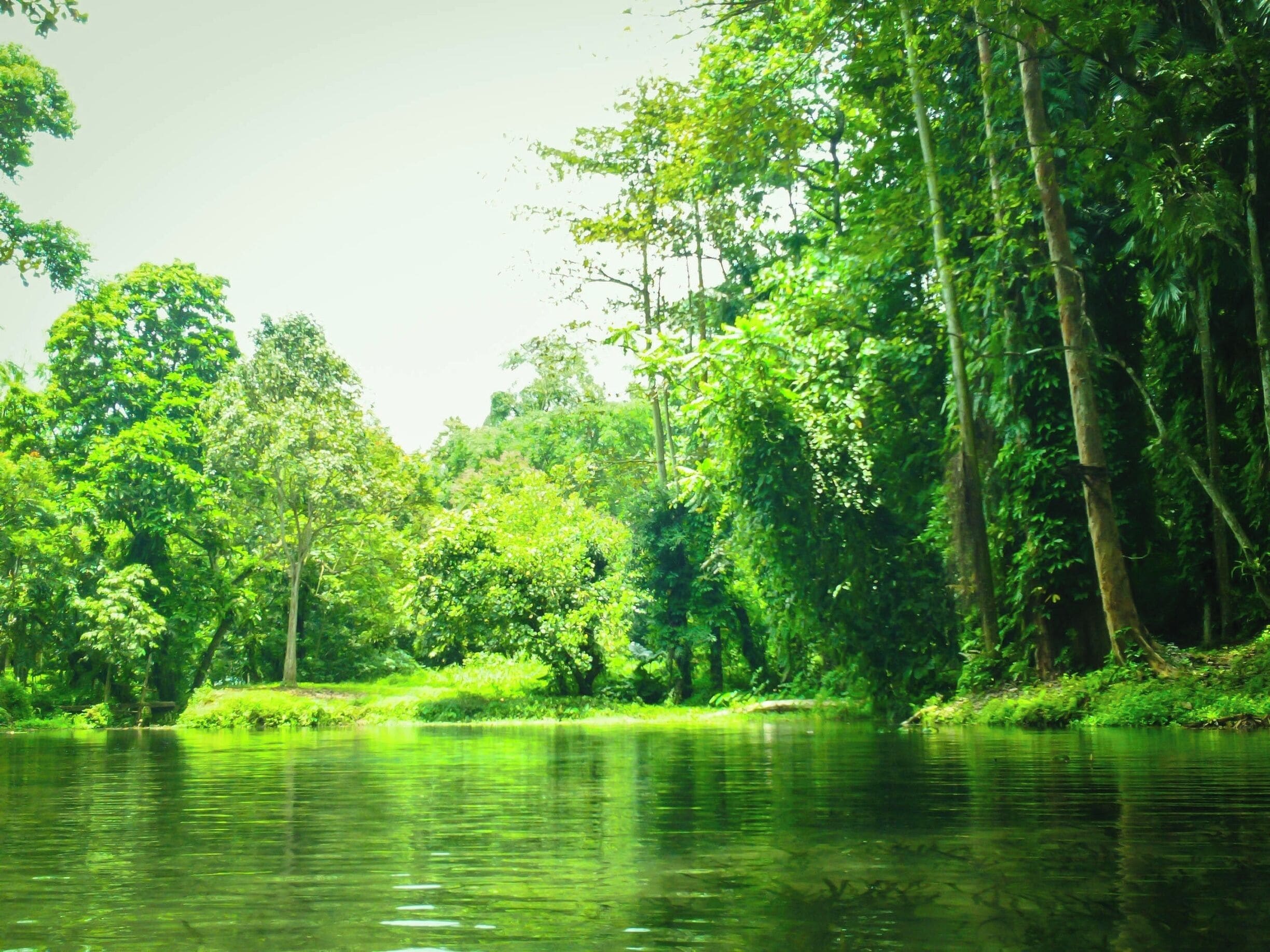 2448x1836 Visit Bukidnon: 2026 Travel Guide for Bukidnon, Northern Mindanao