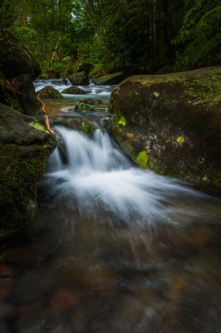 728x1094 Bukidnon 1080P, 2K, 4K, 5K HD wallpaper free download