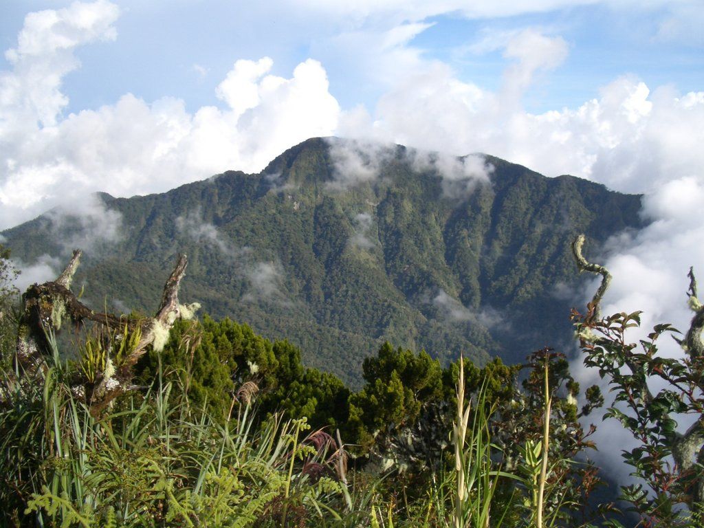 1024x768 Bukidnon Mountains