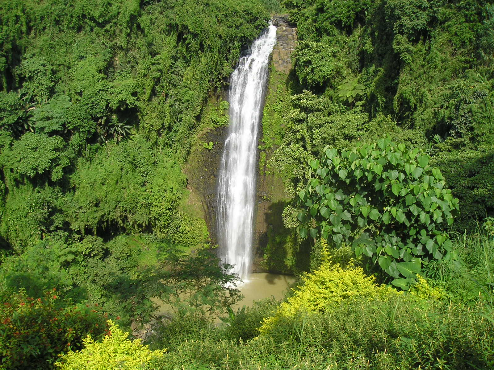 1600x1200 Ph bukidnon sumilao