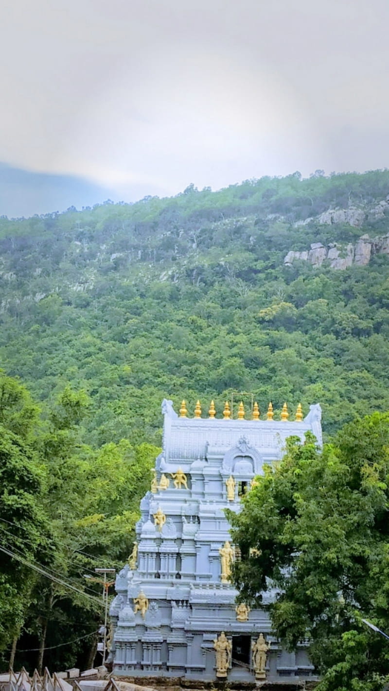 800x1422 HD tirumala temple wallpaper