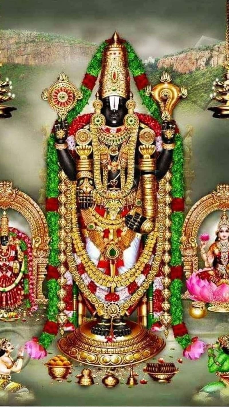 800x1422 God Of Tirumala Tirupati Venkatesha, god, tirumala tirupati venkatesha, HD phone wallpaper