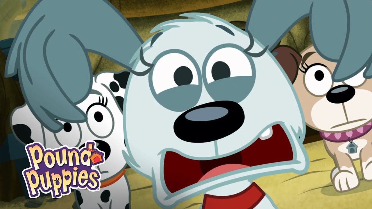 1280x720 Pound Puppies on the Internet