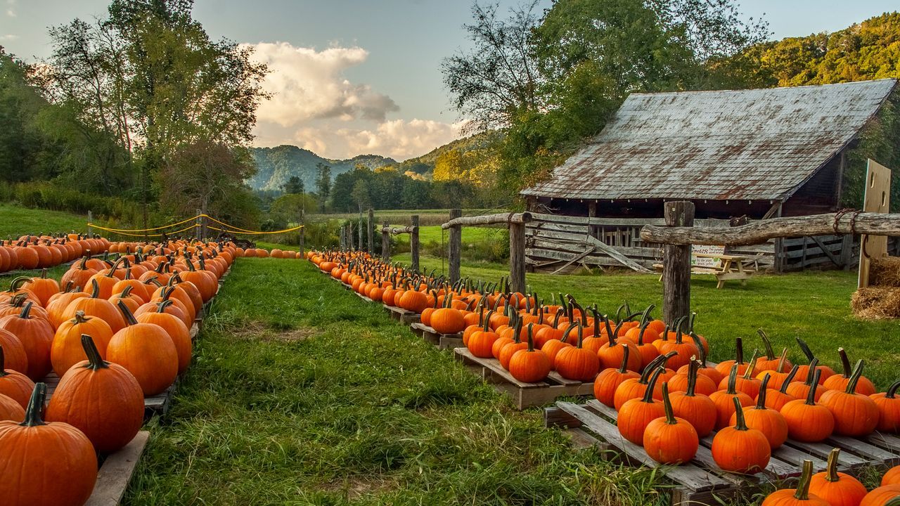 1280x720 Bing Wallpaper Archive