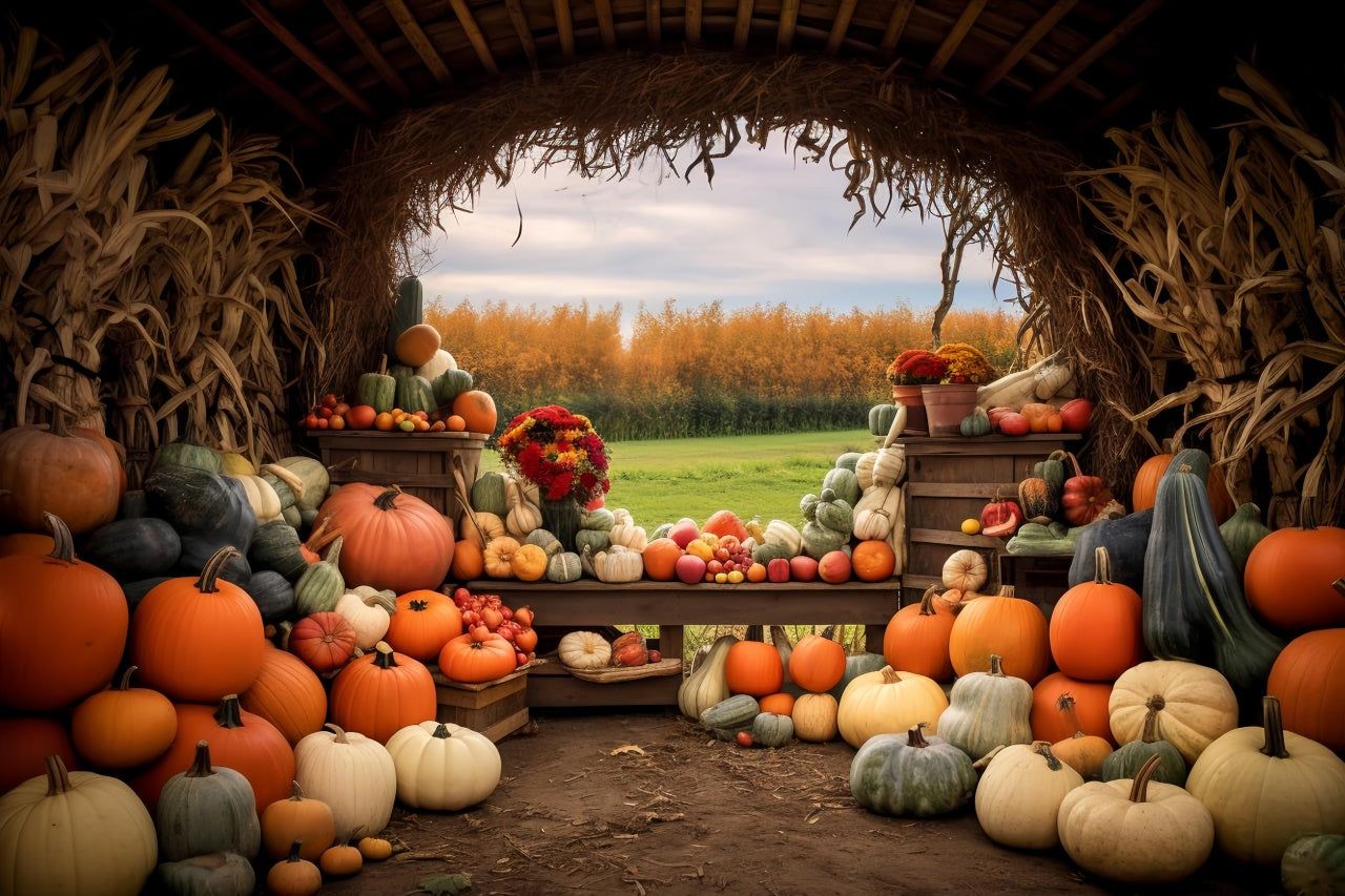 1280x853 Autumn Pumpkin Farm Backdrop For Photography BRP7 122
