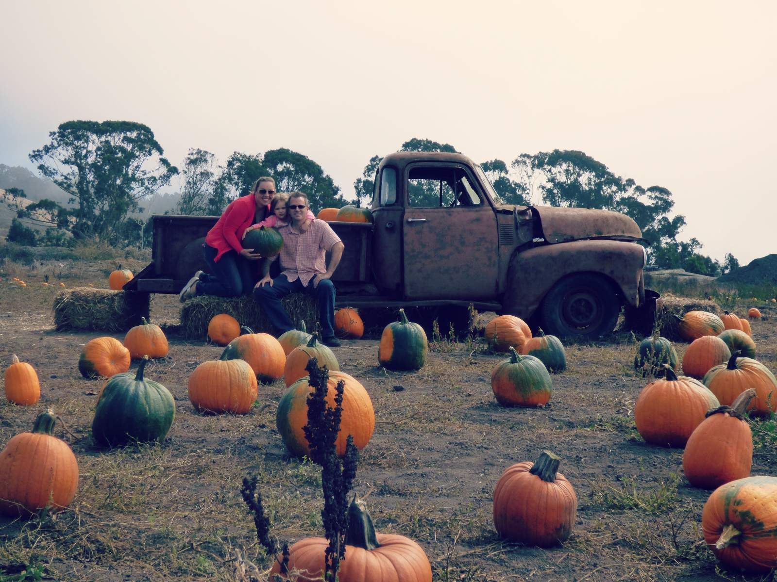 1600x1200 Best Pumpkin Patches in the SF Bay Area to Visit with the Gastons