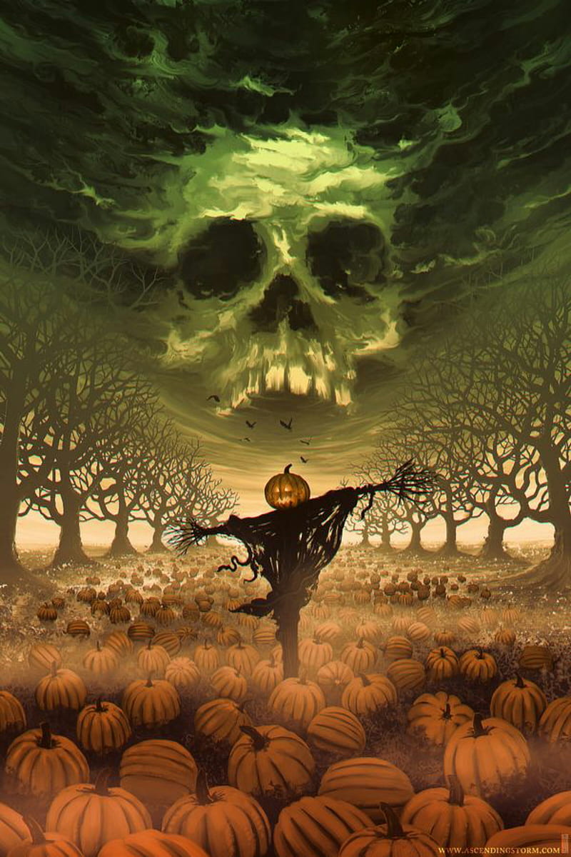 800x1200 HD pumpkin patch halloween wallpaper