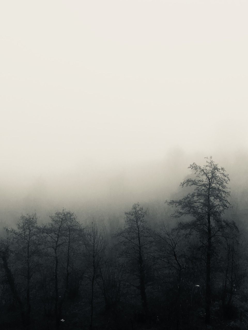 960x1280 Colorless Wallpaper