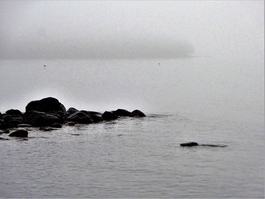 1024x768 It is a colorless nature we have here these days. We don't