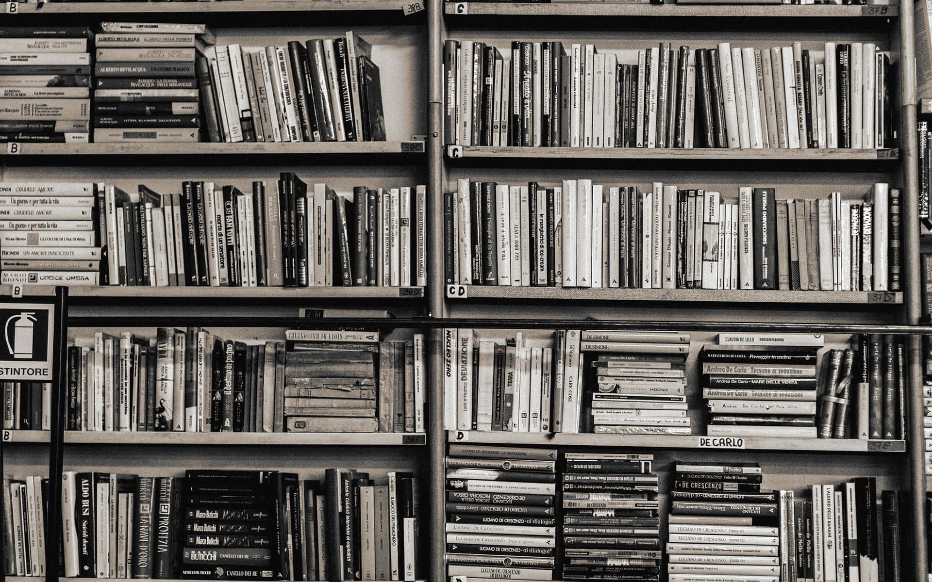 1920x1200 Download Black And White Bookshelf Picture