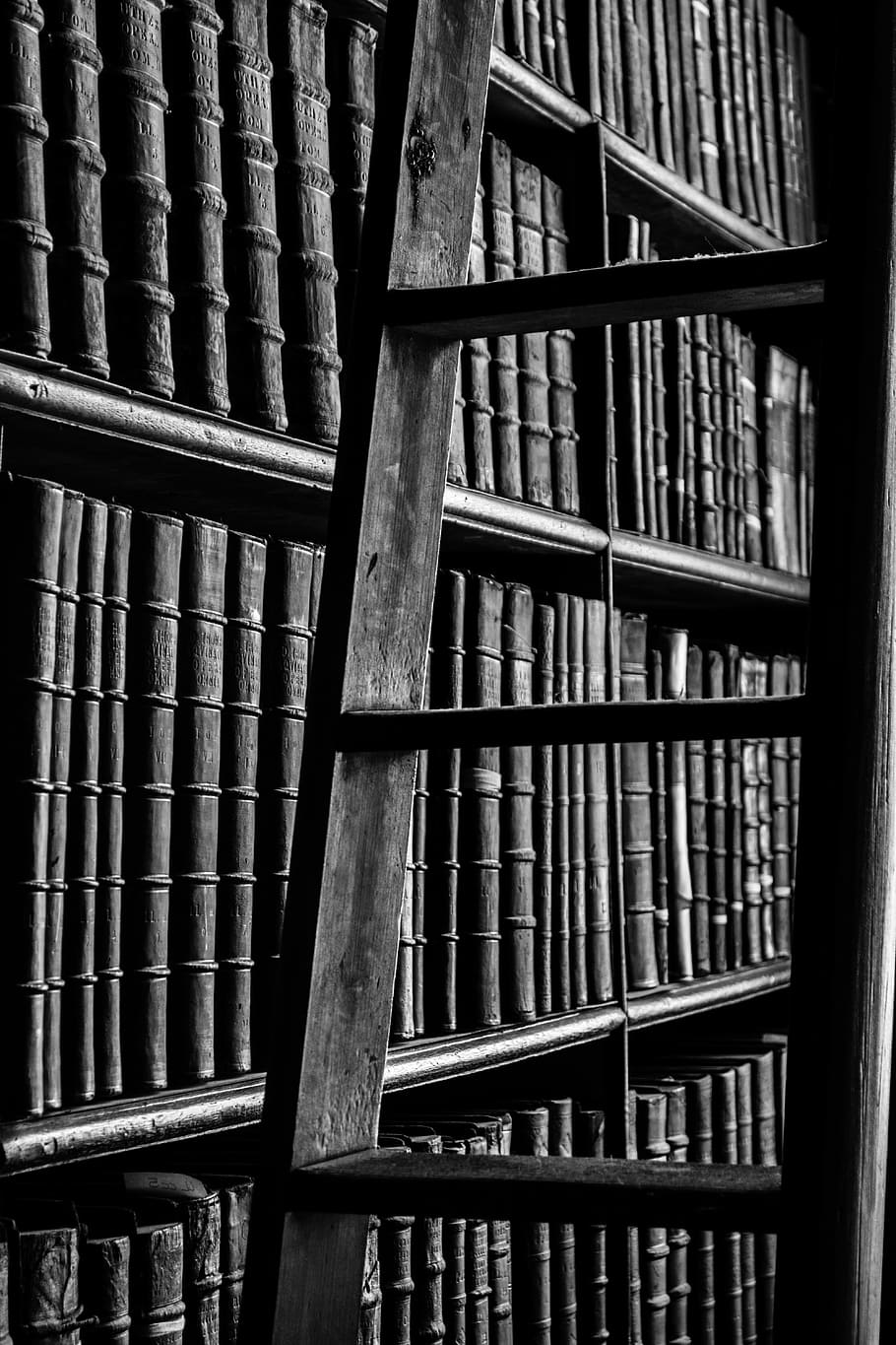 910x1365 Grayscale Photography, Ladder, Bookshelf, Black And White, Book Bindings, Book Stack, Bookcase, Books