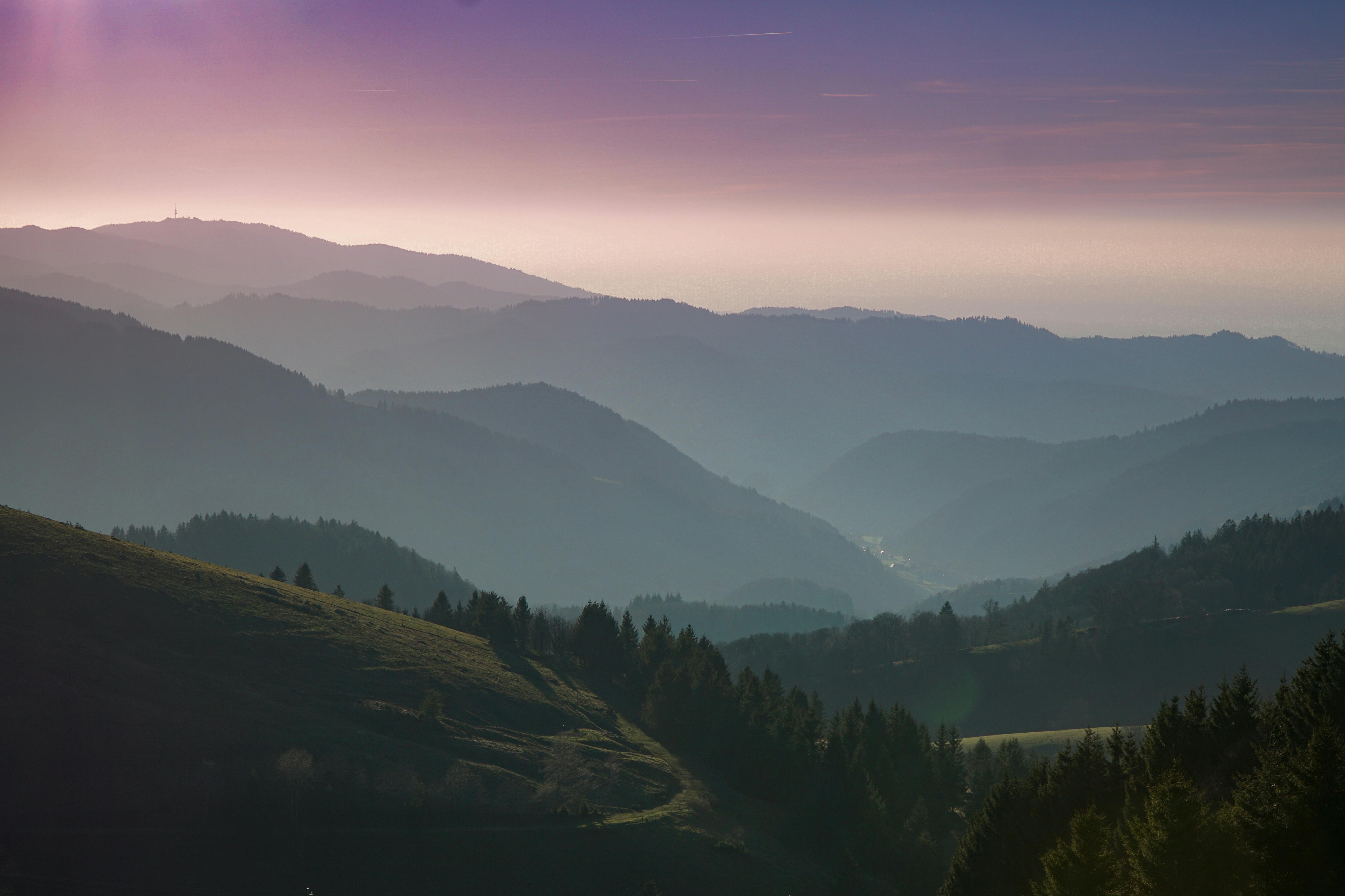 5428x3619 Green Trees Near Mountain · Free