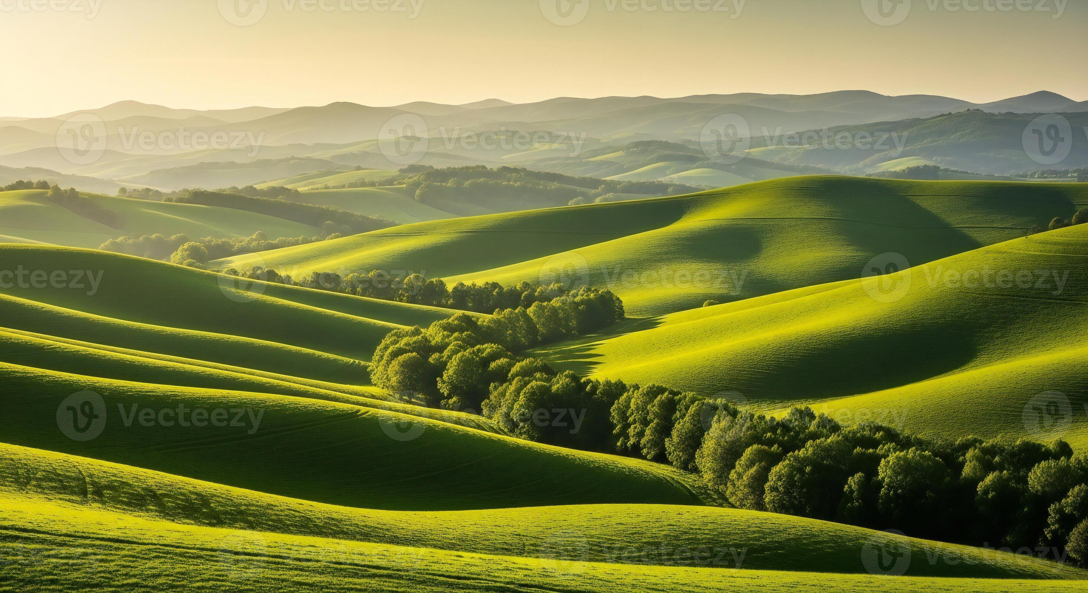 3593x1960 Nature background, Nature wallpaper, Rolling green hills bathed in soft sunlight with a line of trees along a ridge