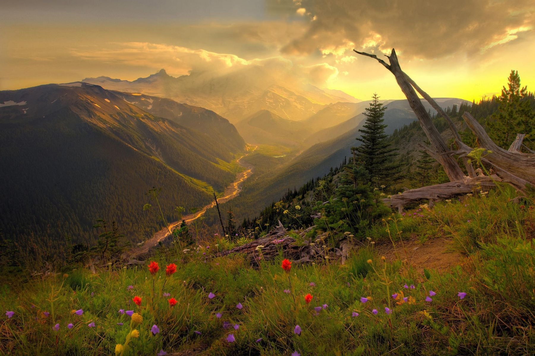 1801x1200 Free photo: Hill view, House, Landscape