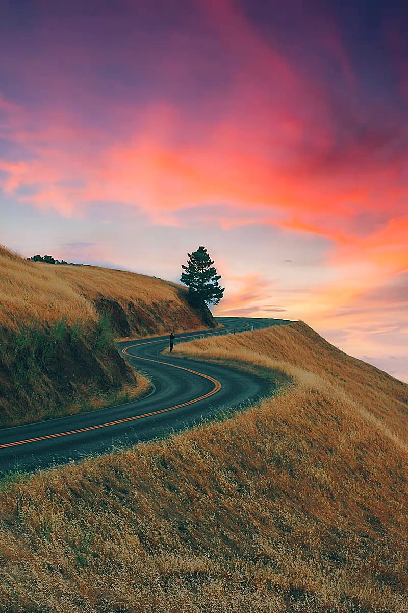 800x1200 Sunset Landscape, hill, nature, road, travel, tree, view, HD phone wallpaper