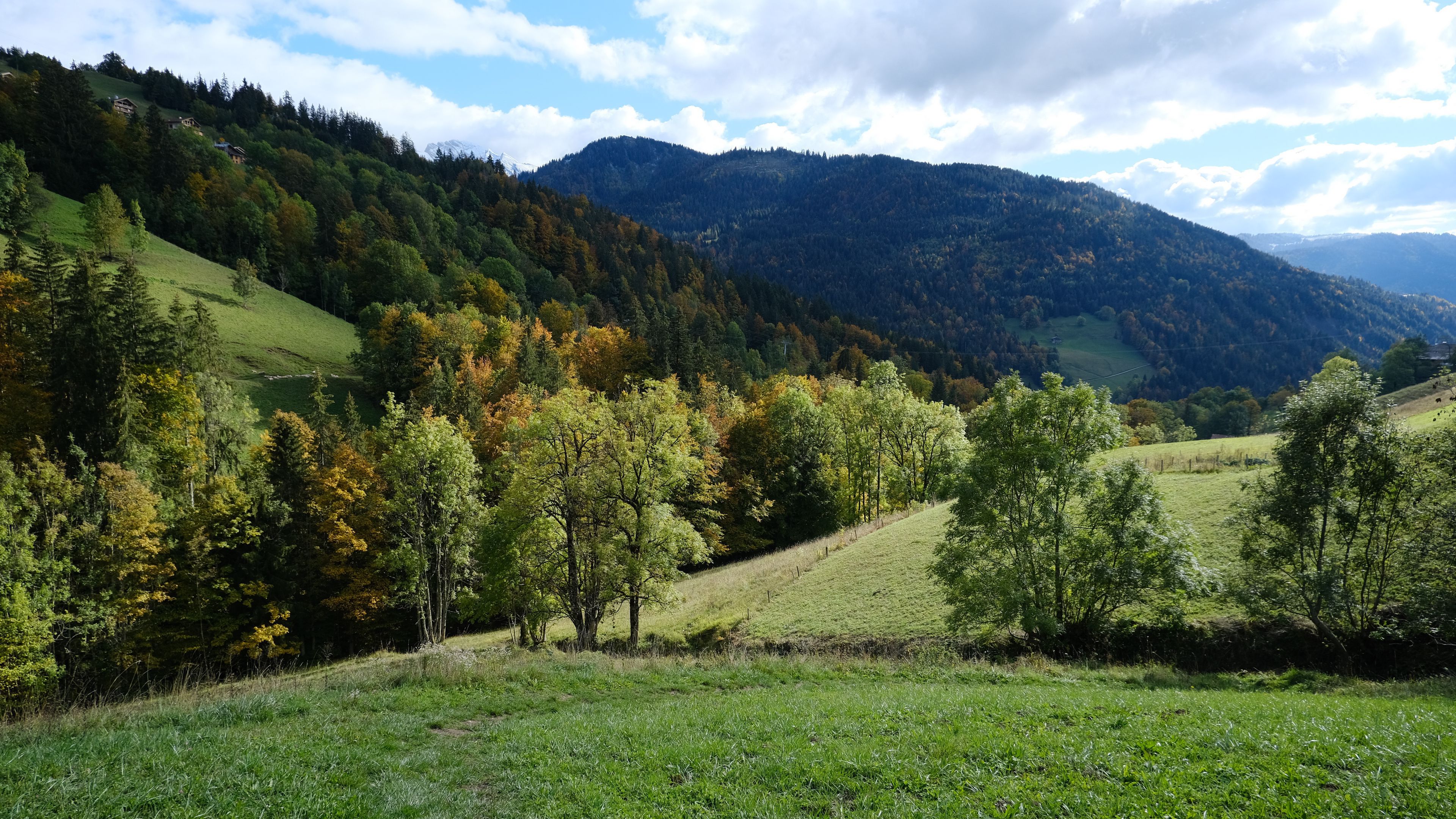 3840x2160 Landscape View Of Hills Forest Trees 4K HD Nature Wallpaper