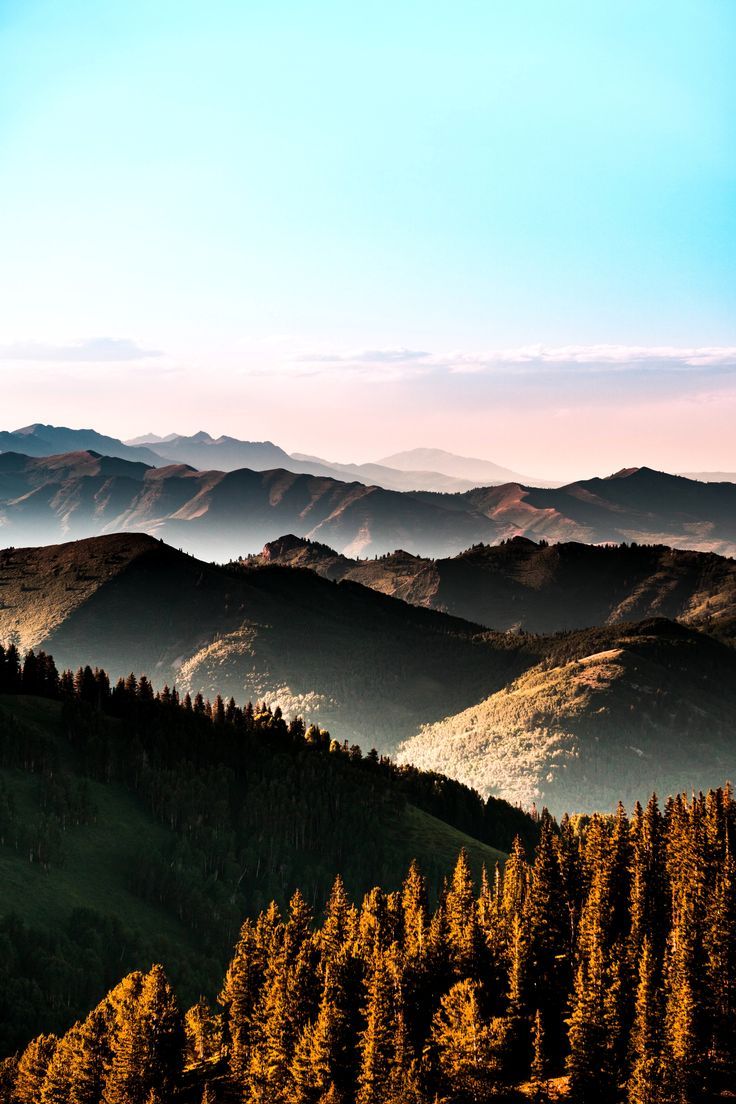 736x1104 Spectacular Nature Wallpaper 4K Trick
