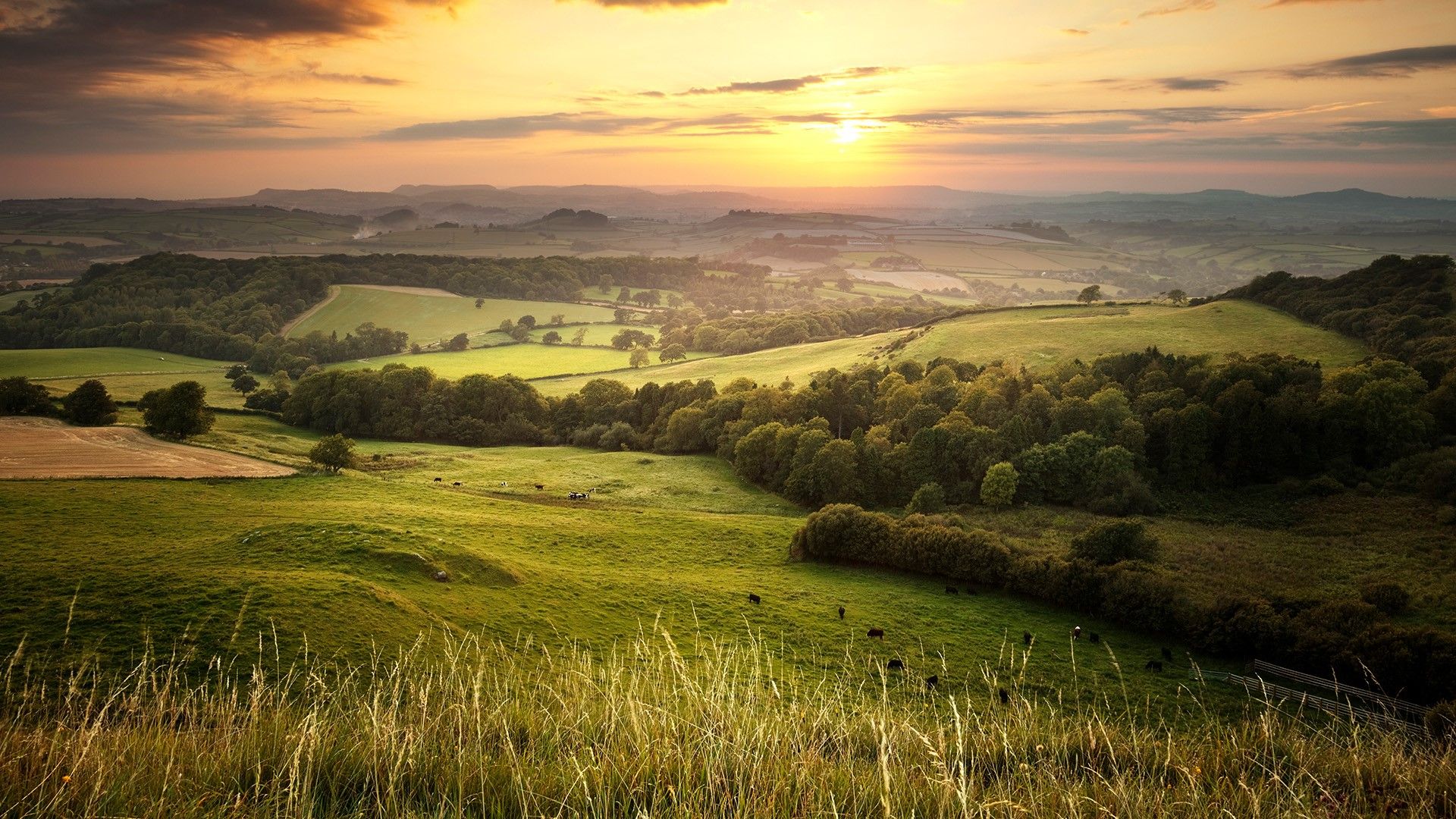 1920x1080 Sunset view from Eggardon Hill over the green hills countryside in England, Dorset, UK. Windows Spotlight Image