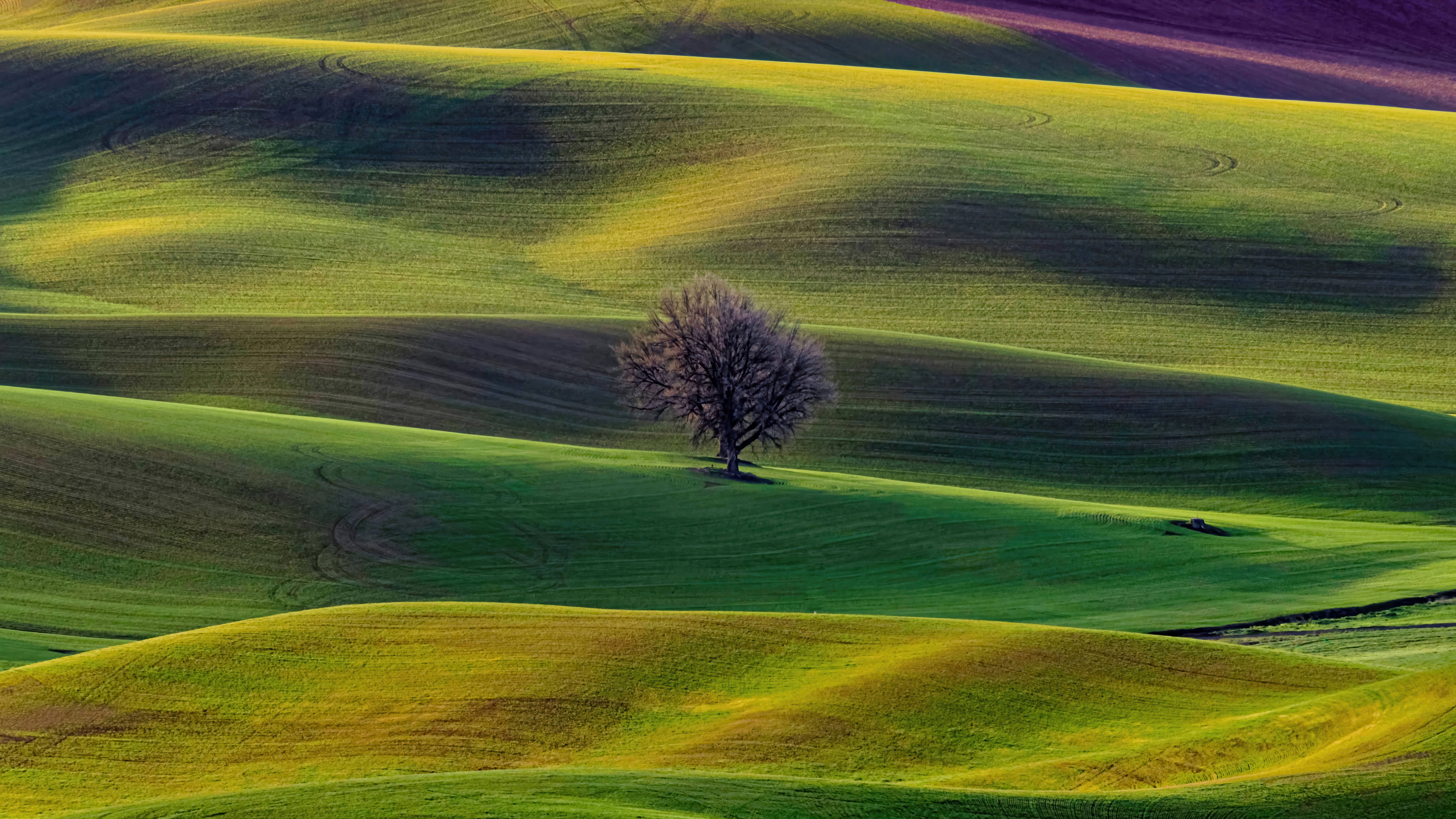 7680x4320 Landscape Grass Hill Tree Scenery Wallpaper 4K 8K HD PC a