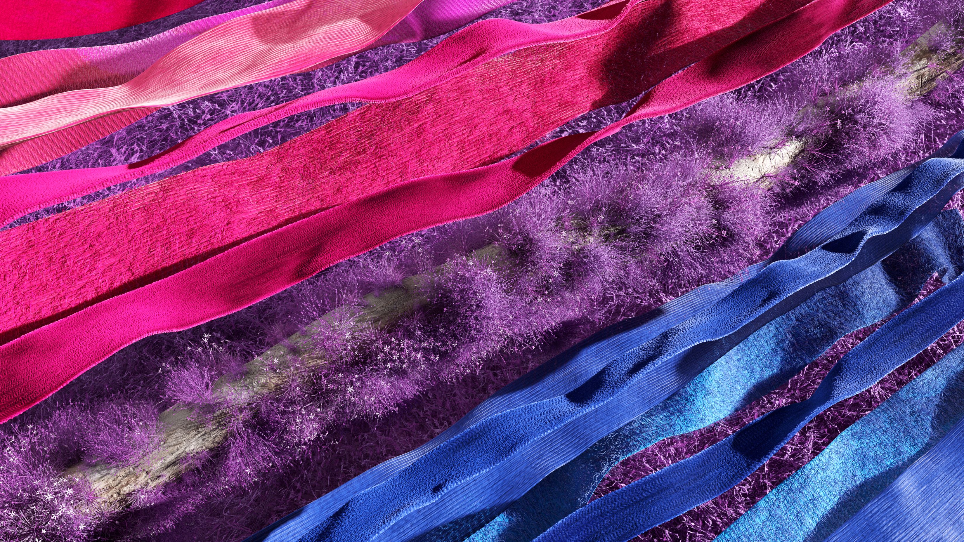3300x1856 Microsoft Pride 21 Bisexual