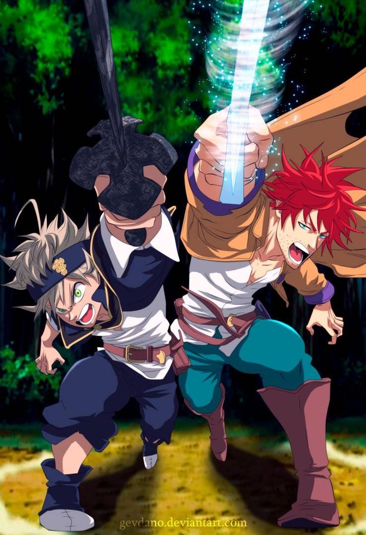 736x1076 Aster