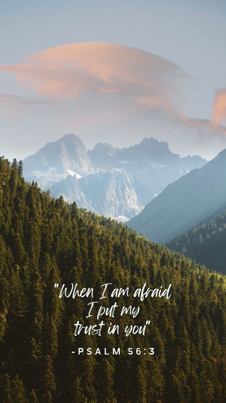 736x1308 Nature Bible Verses Wallpaper