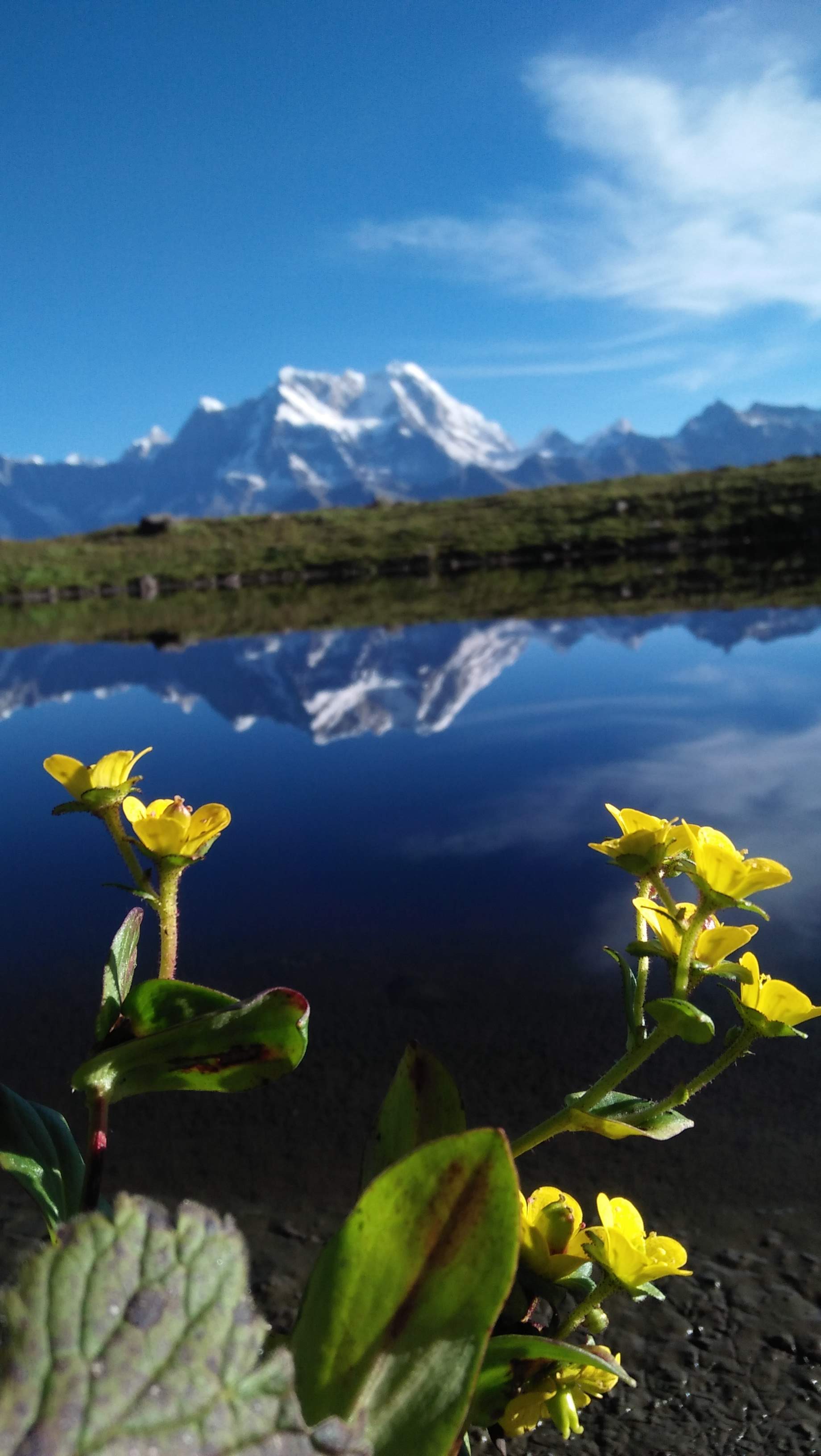 1840x3264 KedarTal Trek
