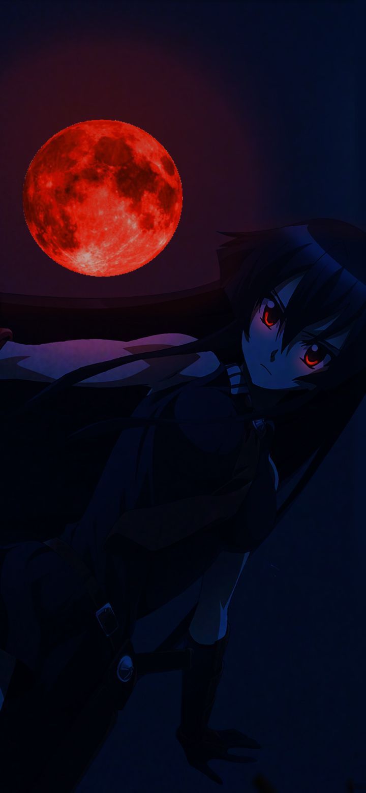 720x1560 Wallpaper Akame Ga Kill