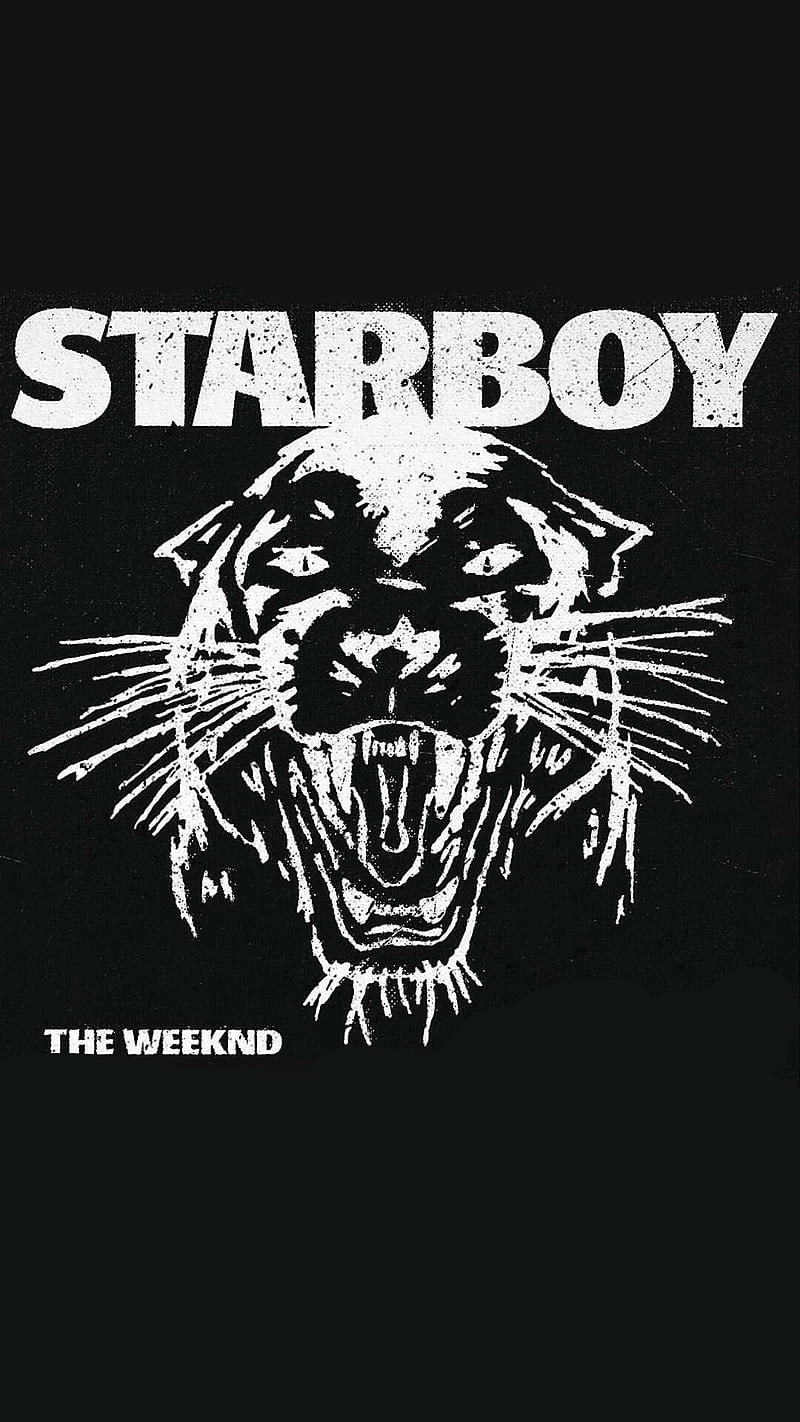 800x1422 Starboy The Weeknd, abel tesfaye, hip, hop, theweeknd, xo, HD phone wallpaper