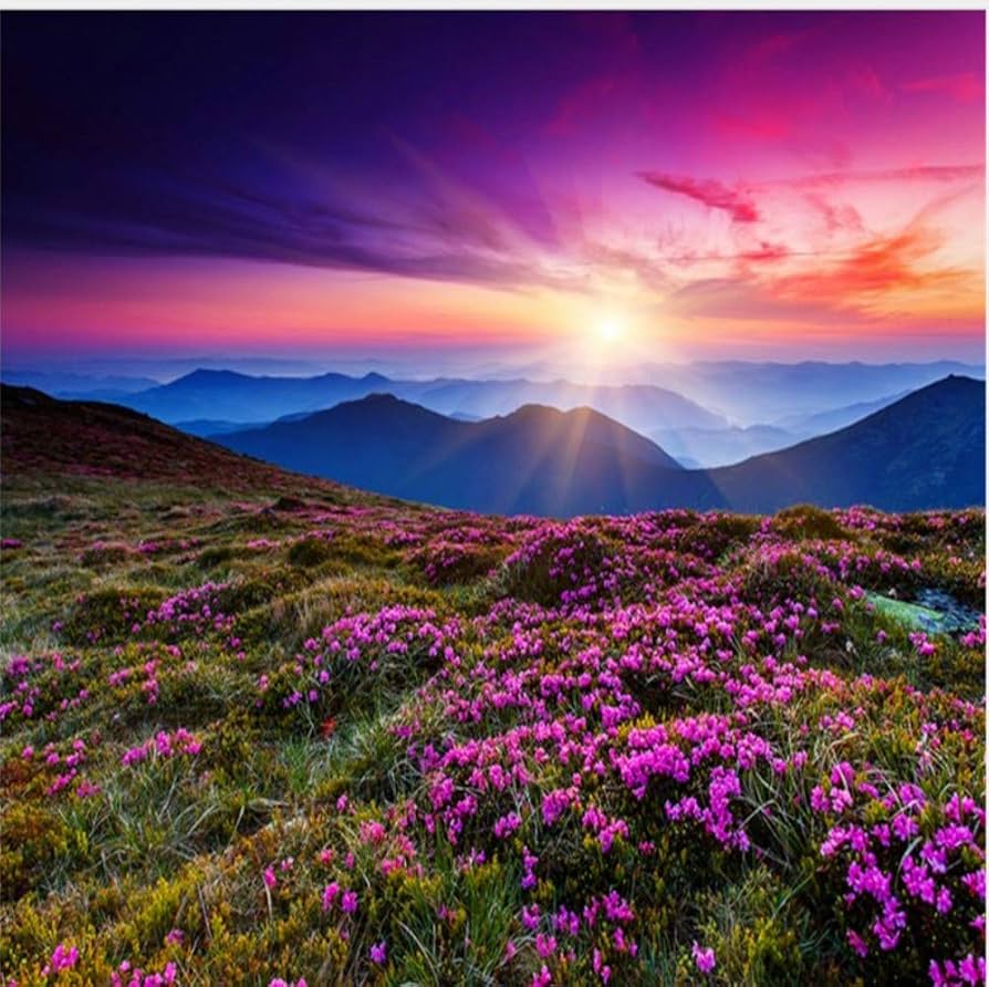 894x892 3D Wallpaper Large Custom Sunset Flowers Romantic Fantasy Landscape Background Wall (W)450x(H)300cm : Amazon.de: DIY & Tools