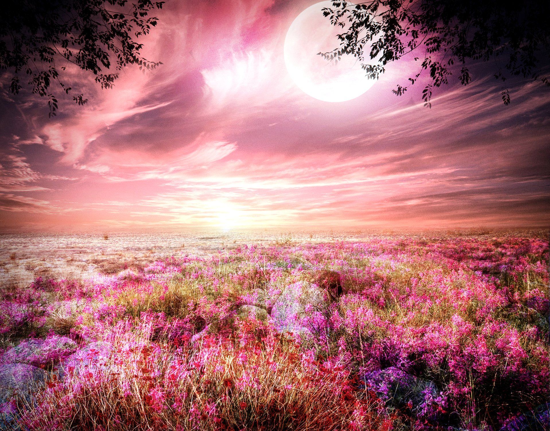 1917x1502 Enchanted Pink Meadow Under the Moonlit Sky