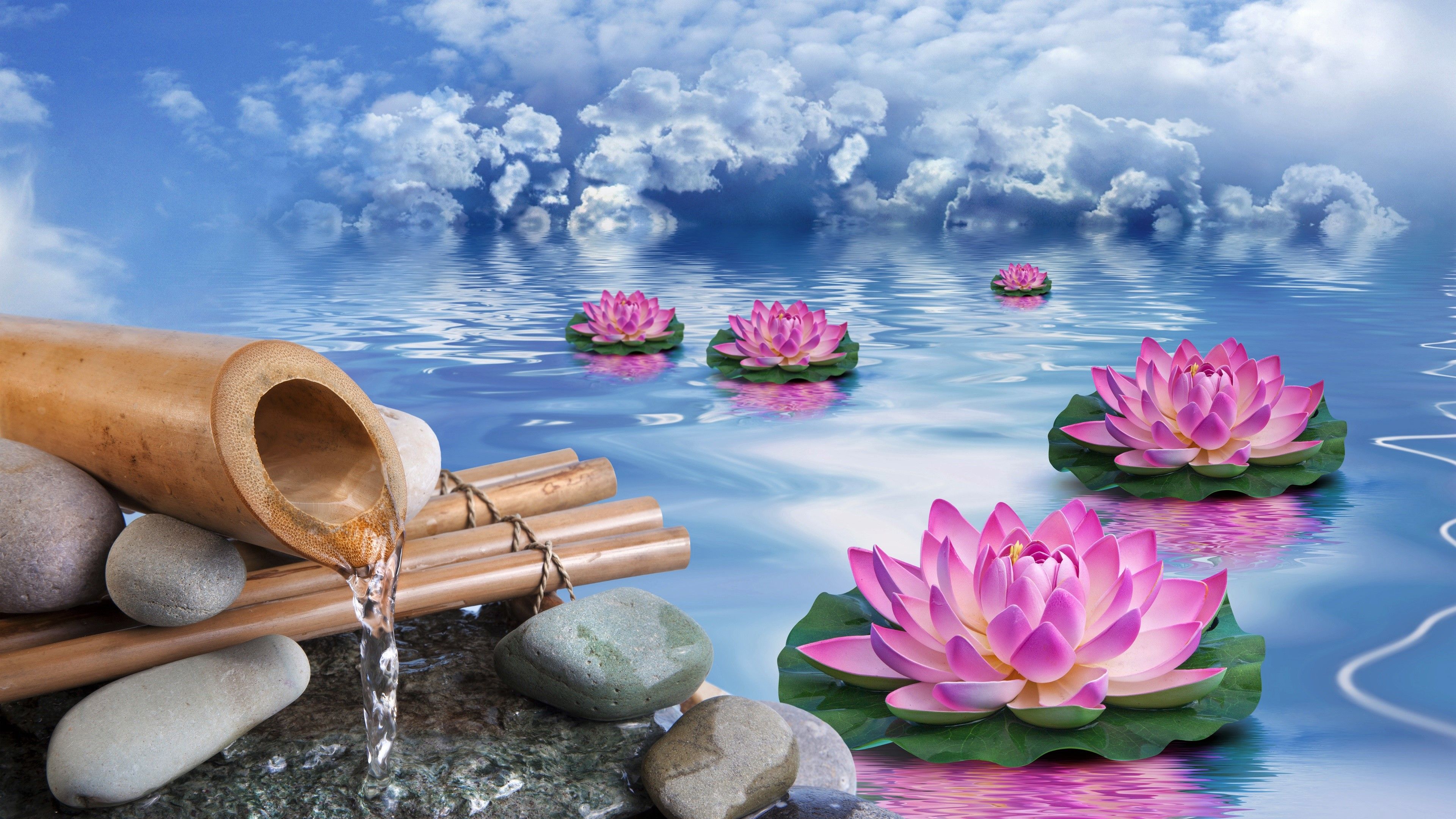 3840x2160 Phone wallpaper: Water Lily, Water, Pink Flower, Fantasy, Artistic, Cloud 869821