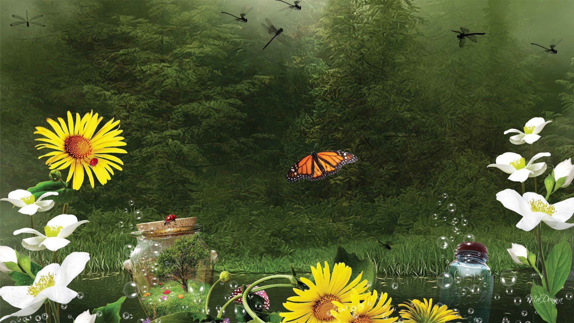1920x1080 flowers, Forest, Butterfly, Bokeh, Lake, Bubbles, Creative, Fantasy Wallpaper HD / Desktop and Mobile Background