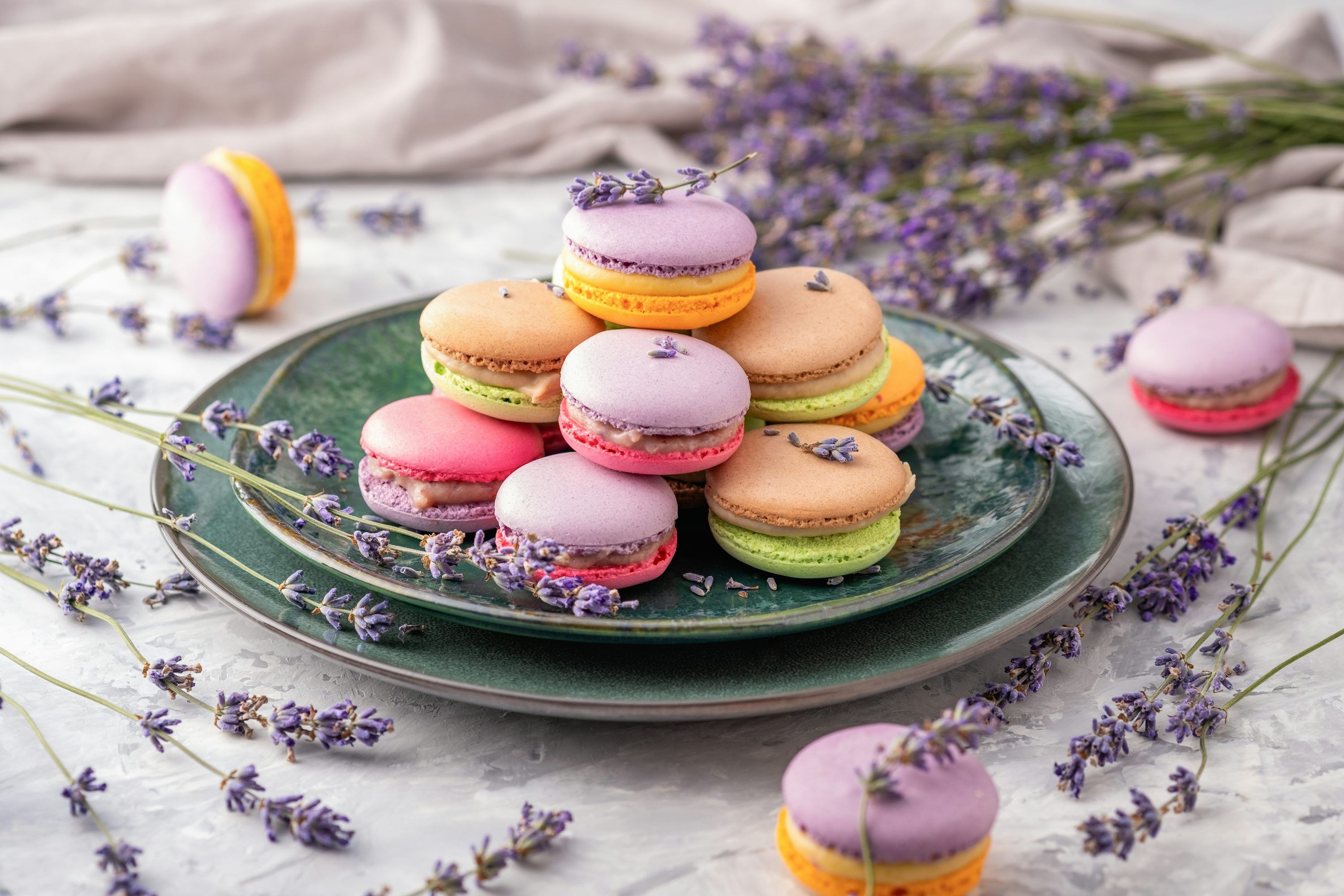 3000x2000 A plate of colorful french macaroons on a table photo