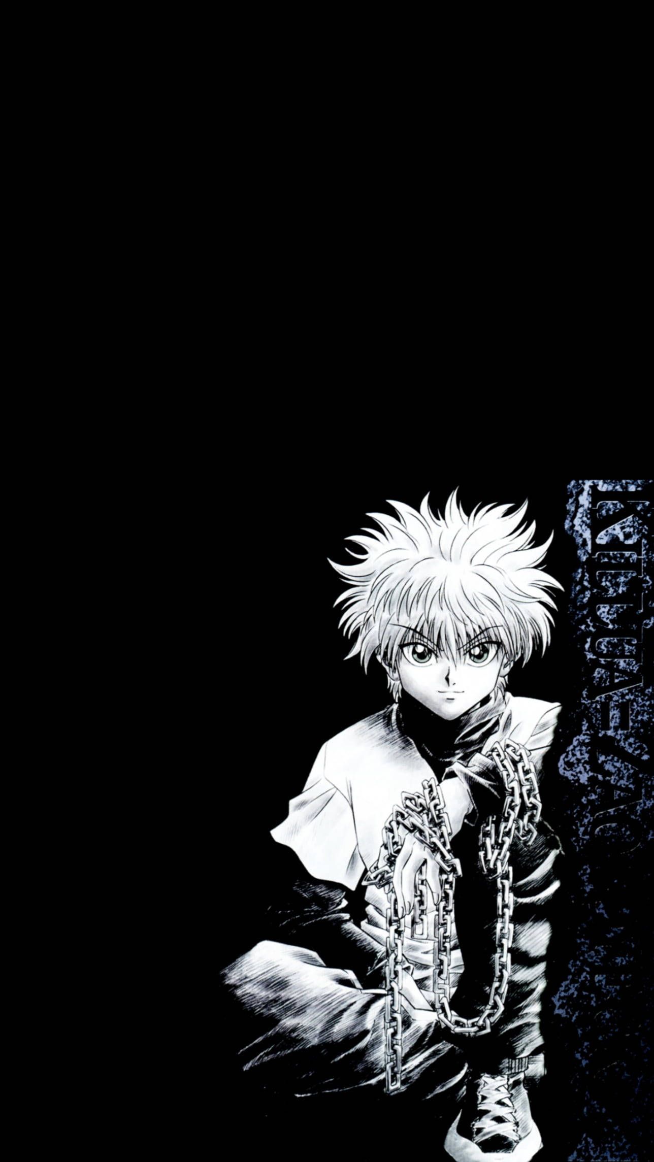 1288x2289 Download Dark Hunter X Hunter Killua PFP Digital Art Wallpaper