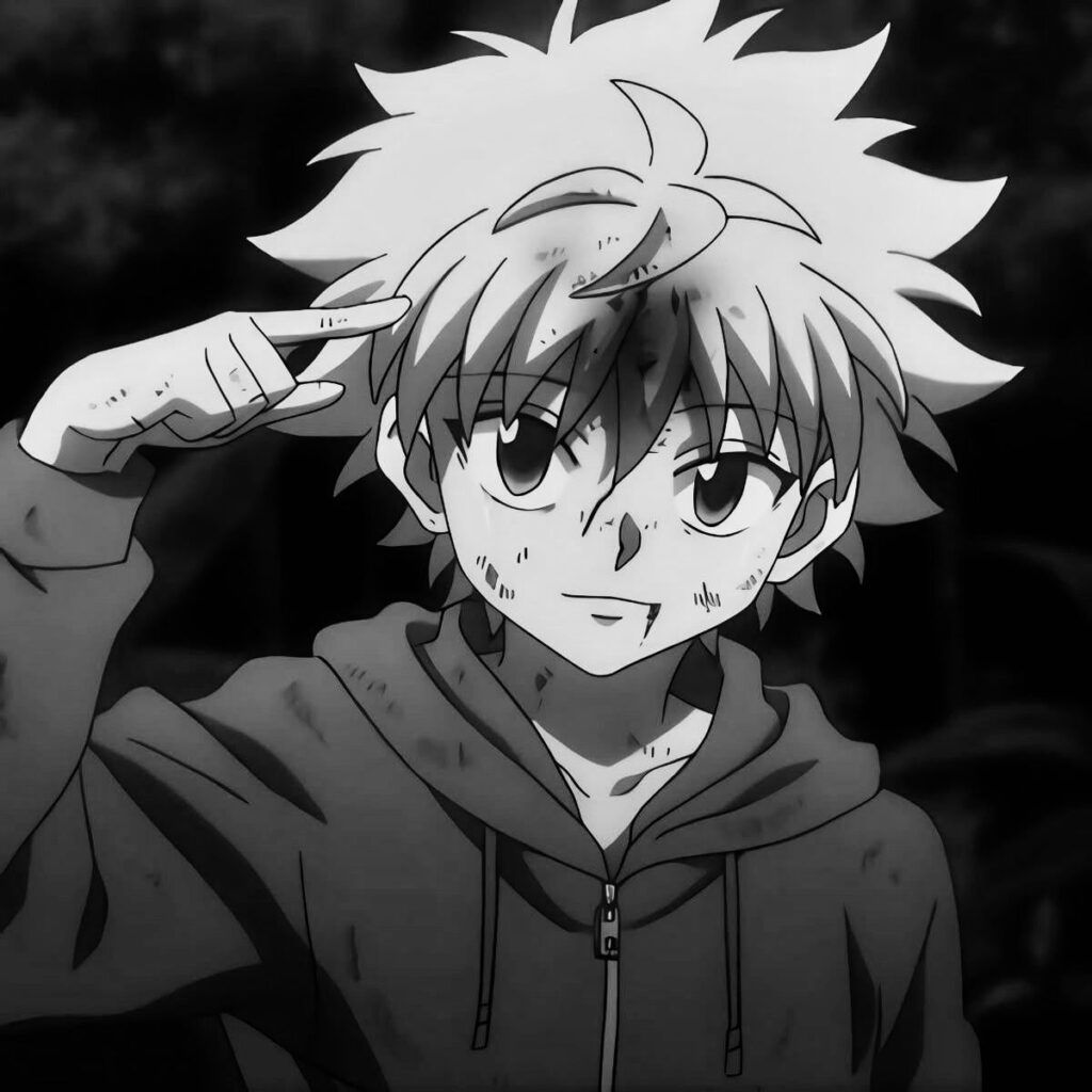 1024x1024 Killua PFP Aesthetic: For Cute, Manga, 4k, Pinterest & Wallpaper