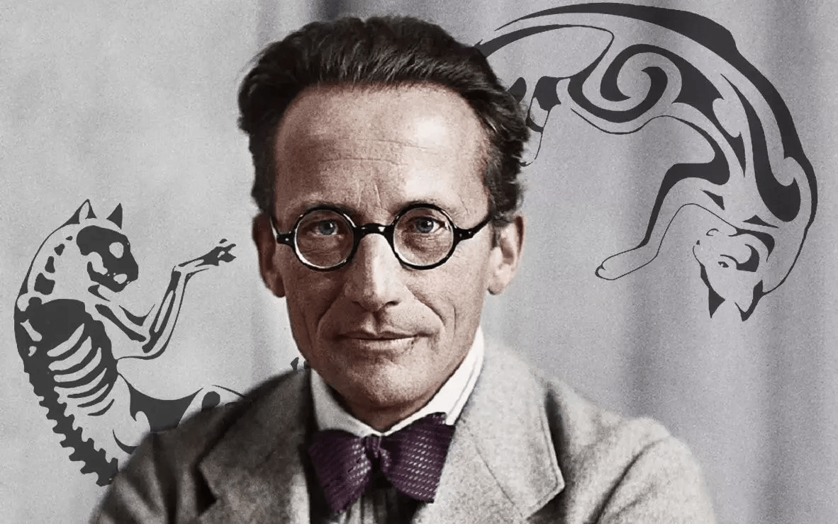 1182x740 Erwin Schrödinger and Vedanta: How Quantum Physics Met Eastern Philosophy