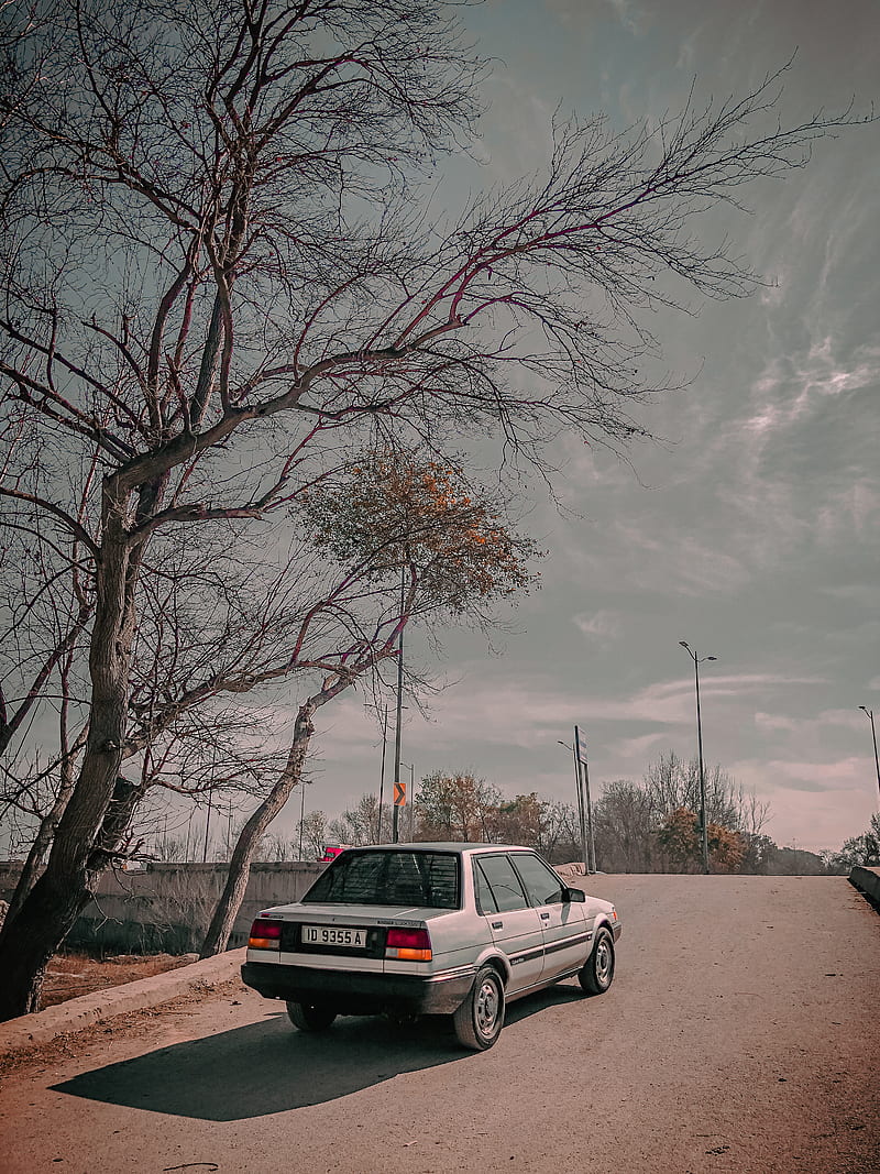 800x1067 Corolla, 86 corolla, gt nature, toyota, toyota corolla, trees, vintage, HD phone wallpaper