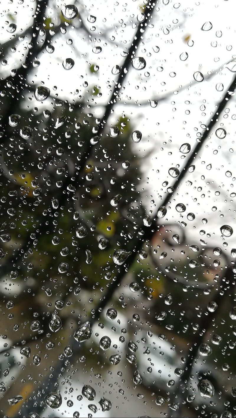 800x1419 Rain, coldrain, HD phone wallpaper