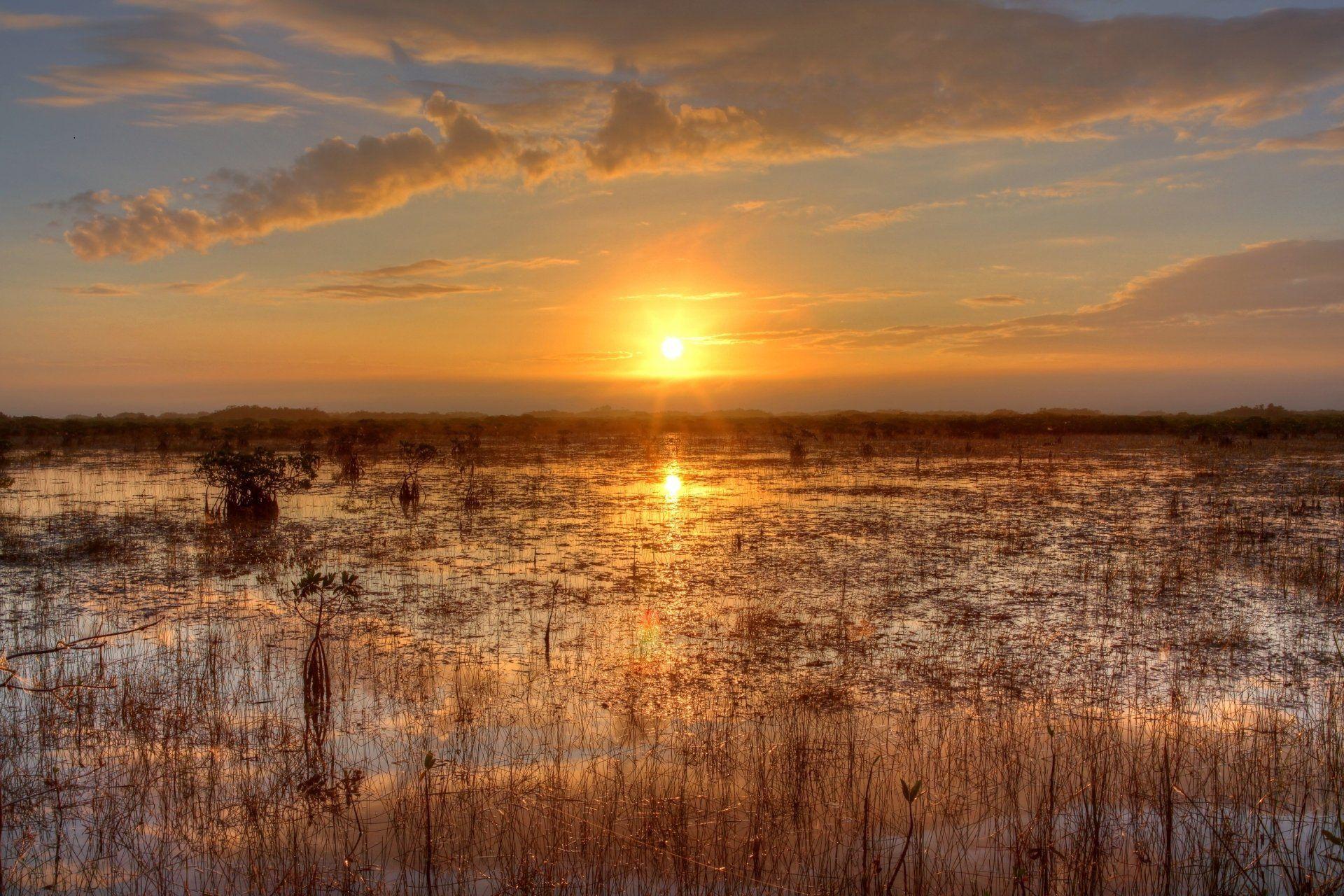 Everglades Wallpapers - Top Free Everglades Backgrounds - WallpaperAccess