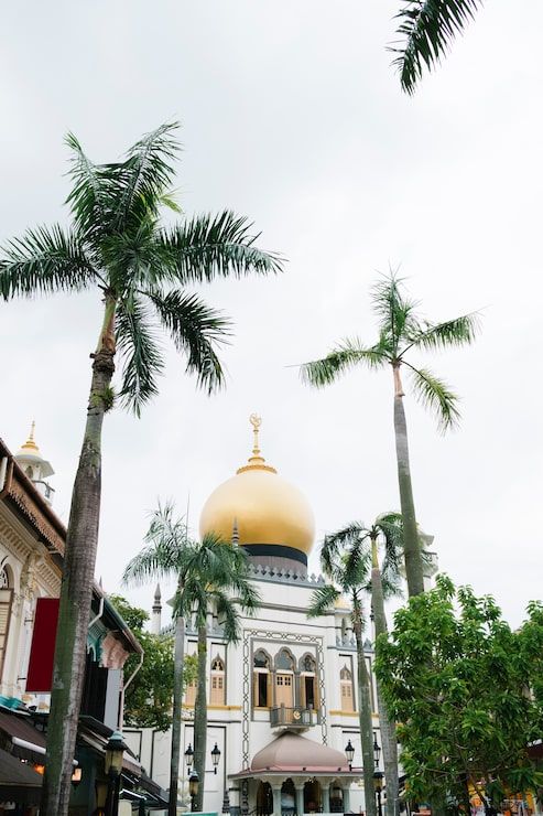 493x740 Mosque Aceh Photo Free High Quality Picture