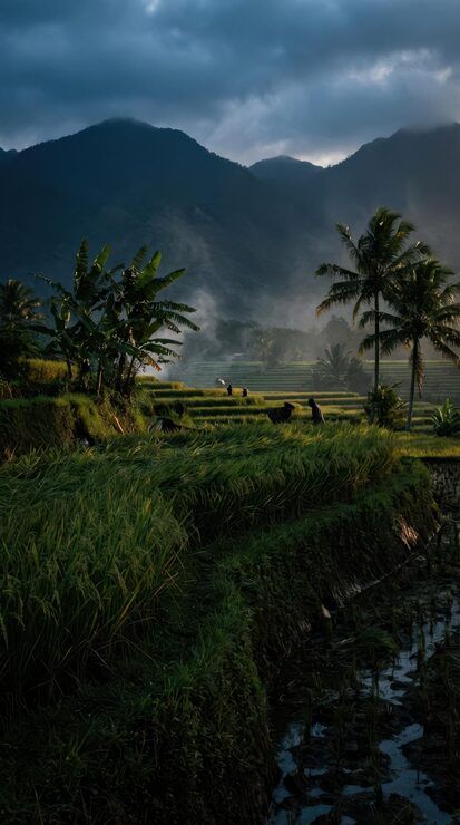 413x740 Natural Aceh Photo Free High Quality Picture