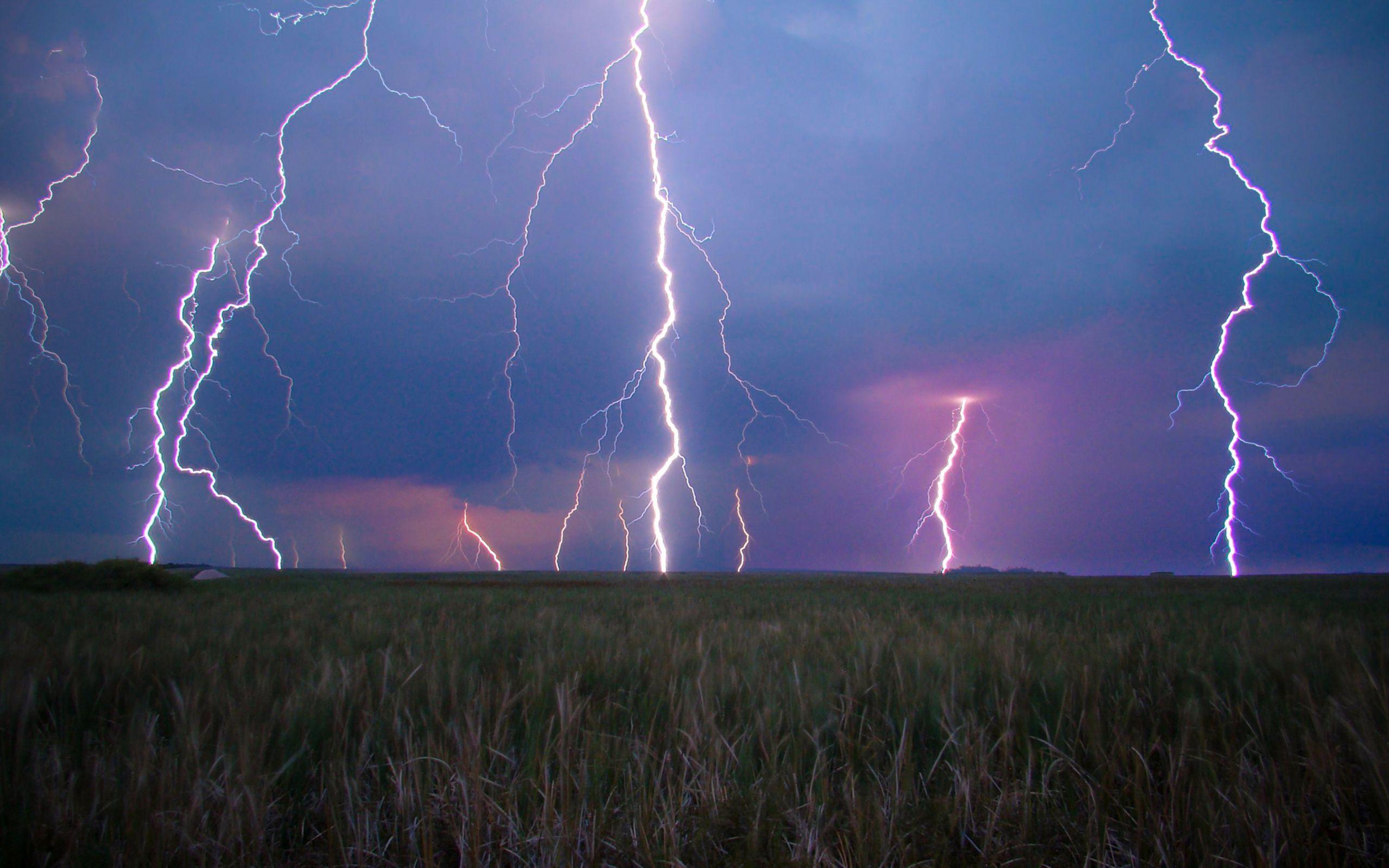 2559x1599 Lightning in the Florida Everglades [2560X1600]