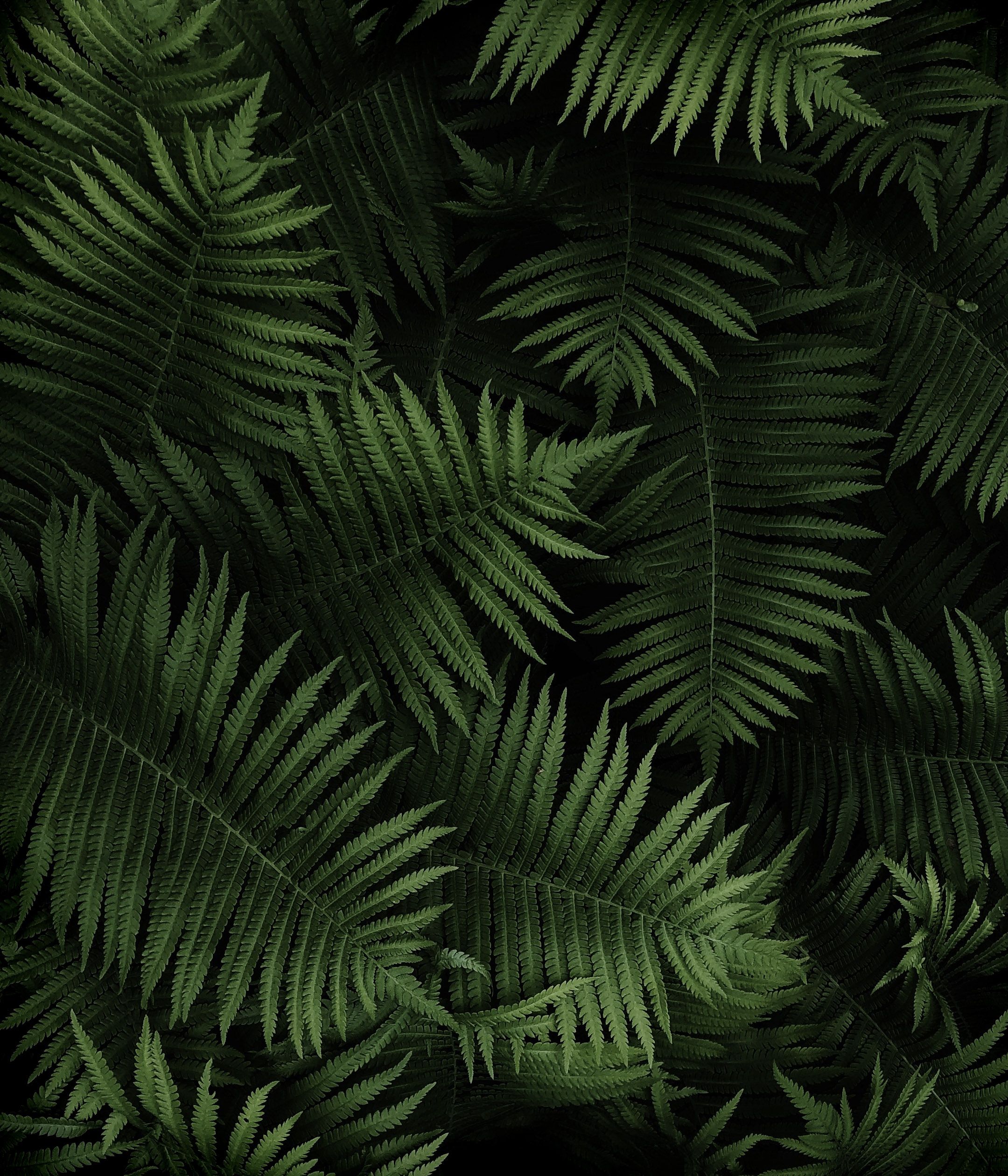 2160x2520 Sony Xperia 5 III Wallpaper