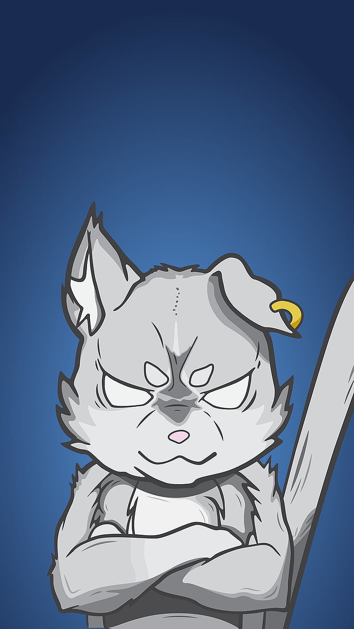 728x1294 HD wallpaper: angry cat digital wallpaper, anime, Re:Zero Kara Hajimeru Isekai Seikatsu