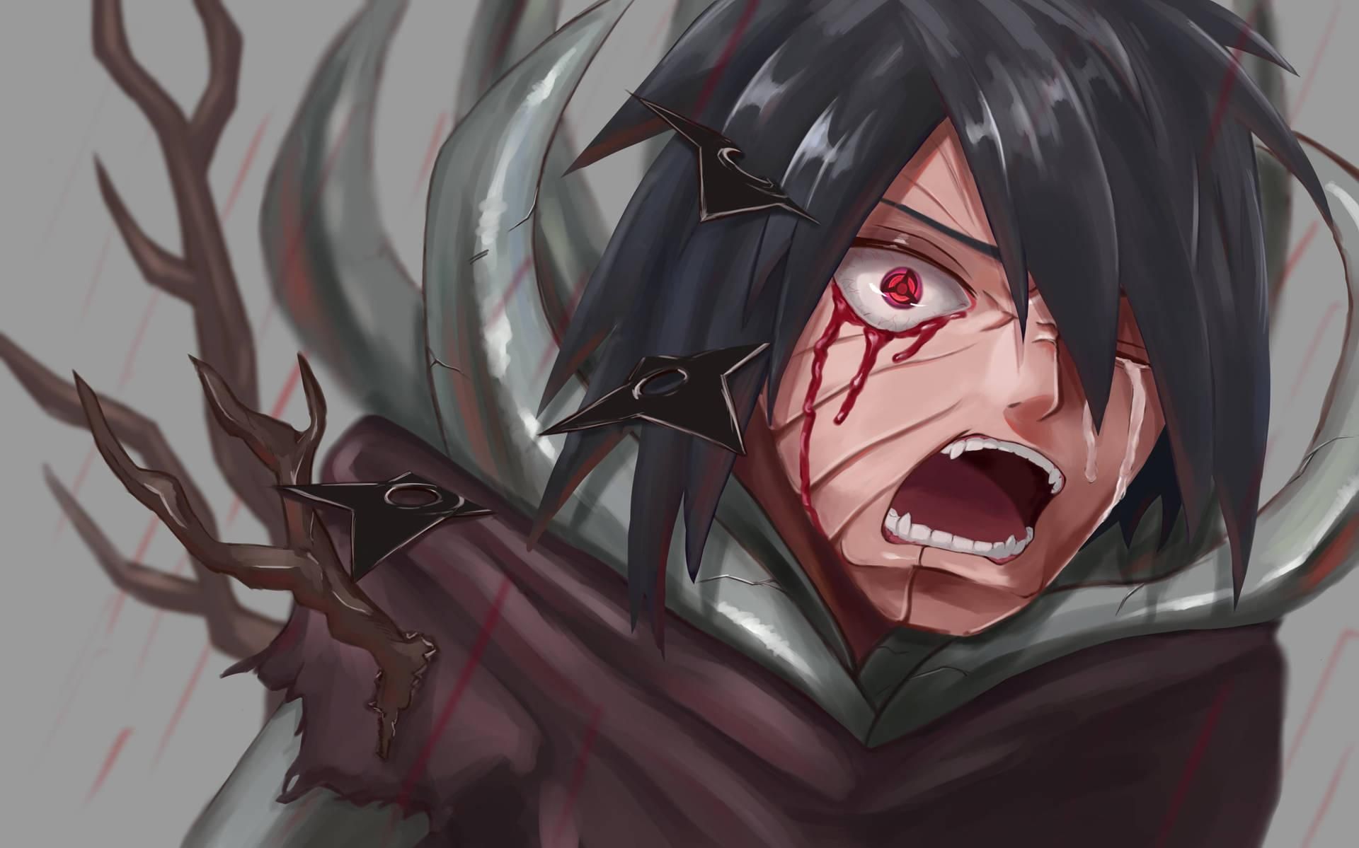1920x1199 