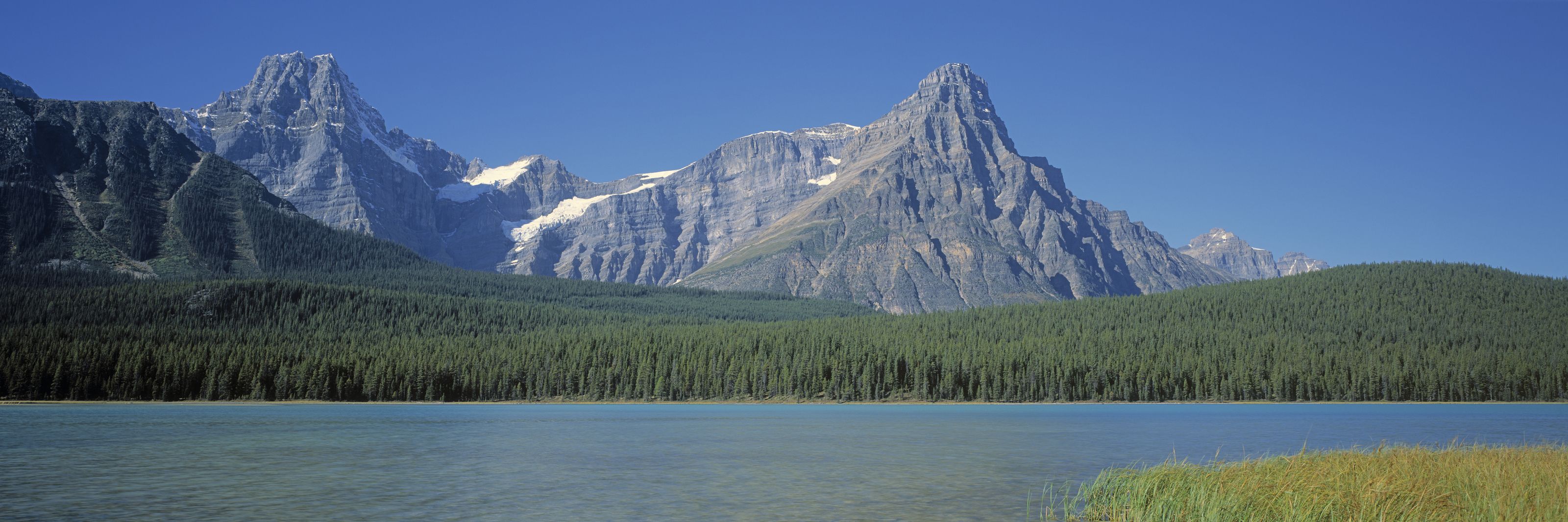 3200x1067 Bow River Vista Wall Mural